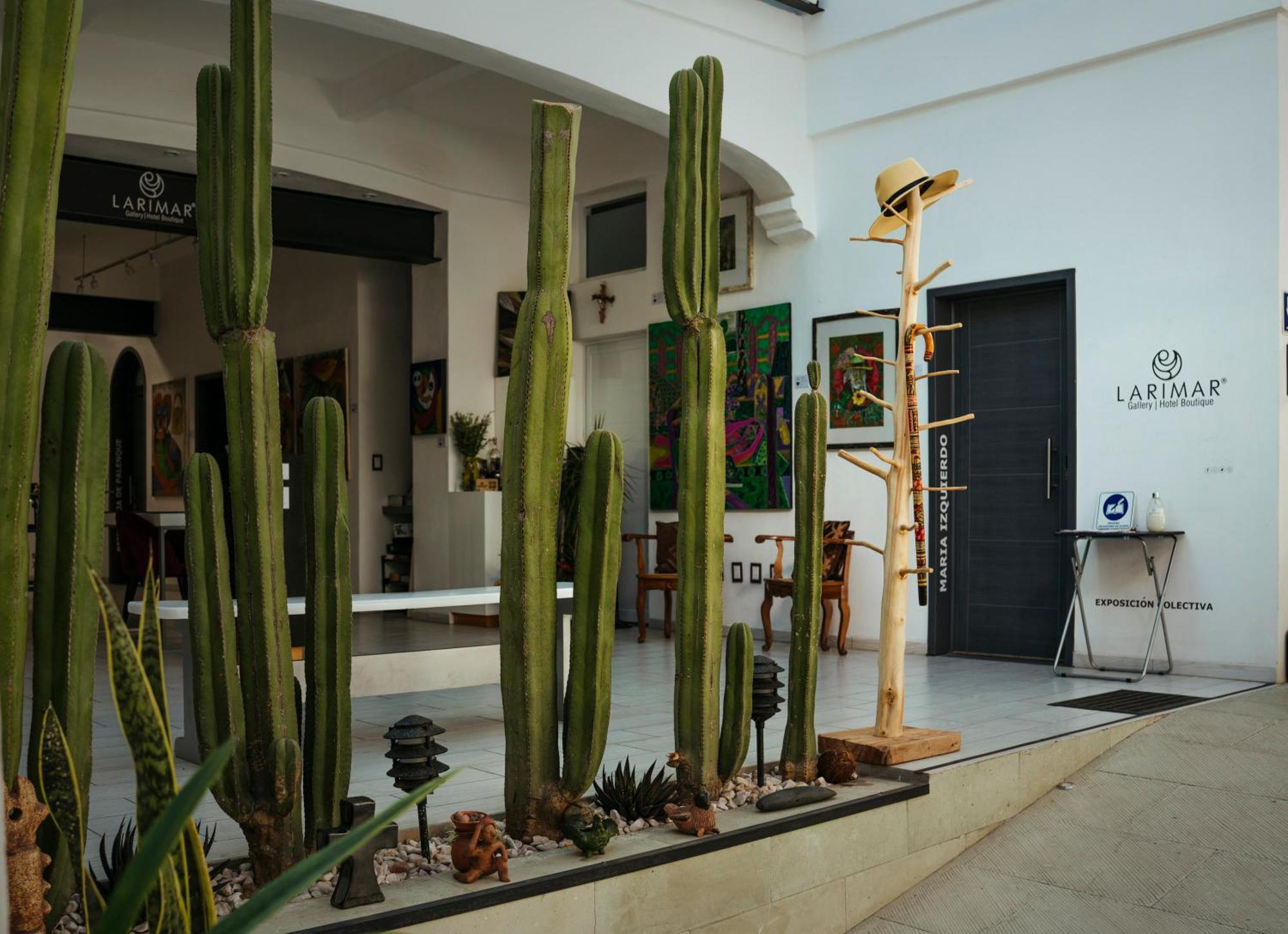 Larimar Gallery Y Hotel Boutique Oaxaca المظهر الخارجي الصورة
